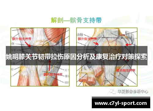 姚明膝关节韧带拉伤原因分析及康复治疗对策探索